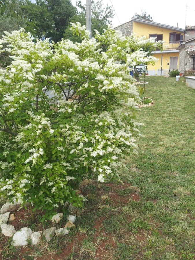 La Casina Gialla Villa Veroli ภายนอก รูปภาพ