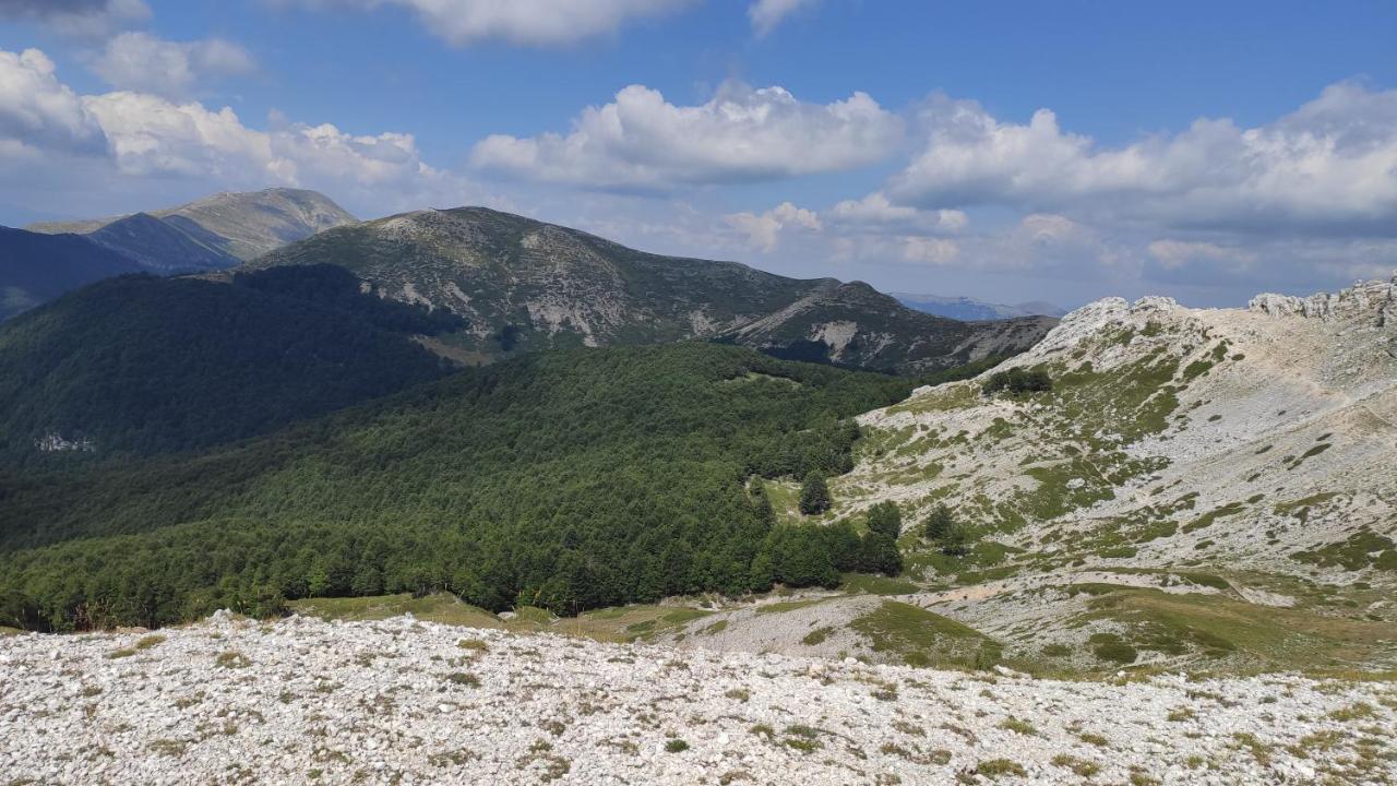 La Casina Gialla Villa Veroli ภายนอก รูปภาพ