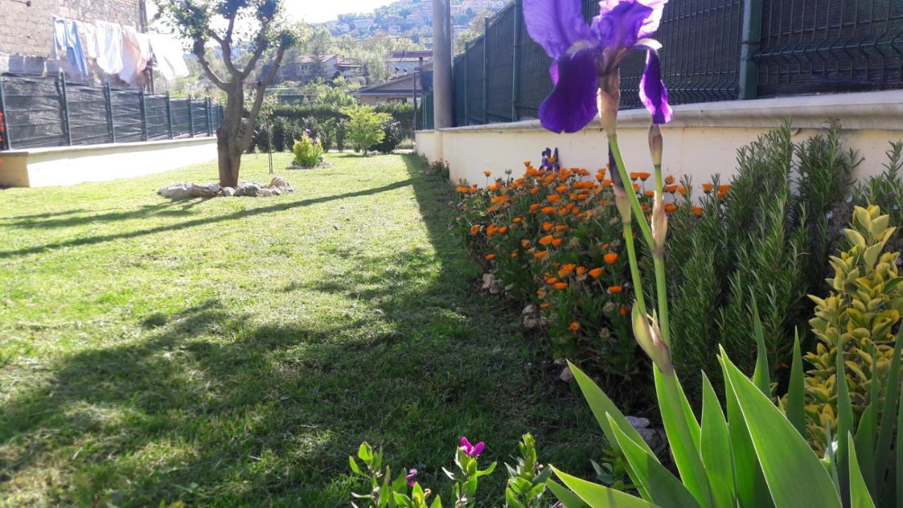 La Casina Gialla Villa Veroli ภายนอก รูปภาพ