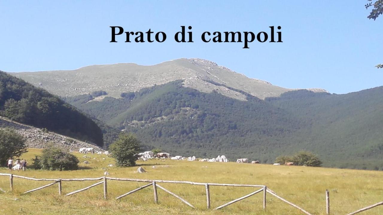 La Casina Gialla Villa Veroli ภายนอก รูปภาพ
