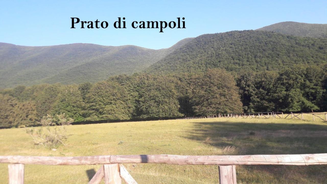 La Casina Gialla Villa Veroli ภายนอก รูปภาพ